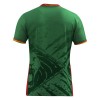 Maillot de Supporter Cameroun Domicile 2025 Pour Homme